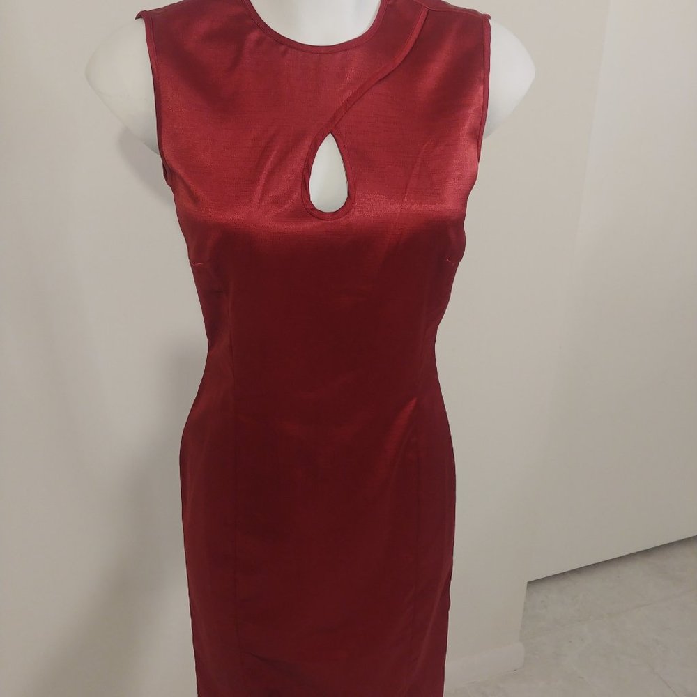 Cranberry Sleveless Sheath Dress